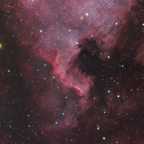 NGC7000 北アメリカ星雲