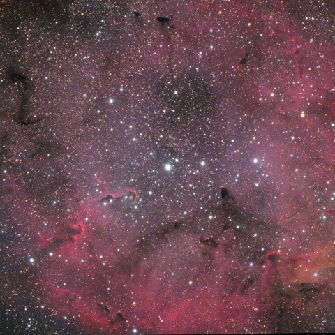 IC1396 象の鼻星雲