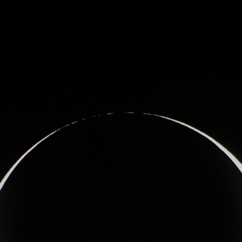 北限界線からのベイリービーズ