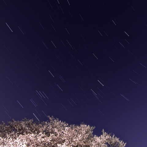 おうしとオリオンと木星と