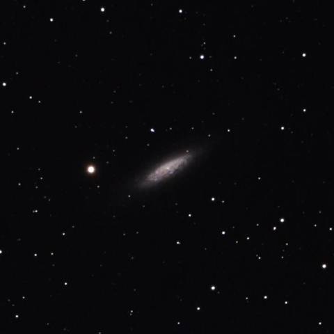 NGC6503