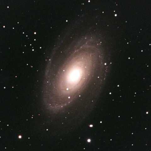 M81