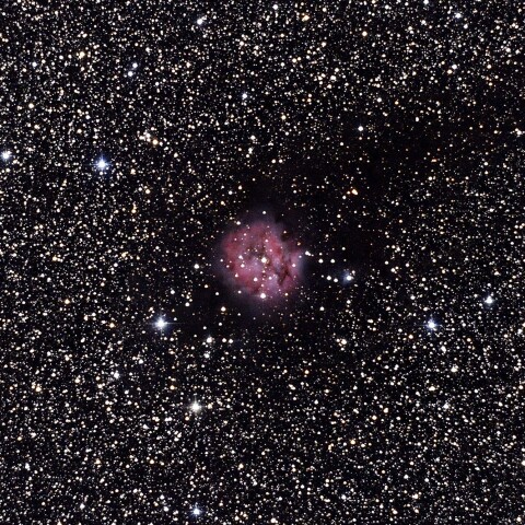 IC5146　(まゆ星雲)