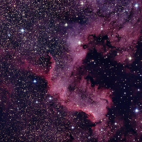 NGC7000　(北アメリカ星雲)