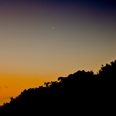 アイソン彗星-水星-土星ランデブー