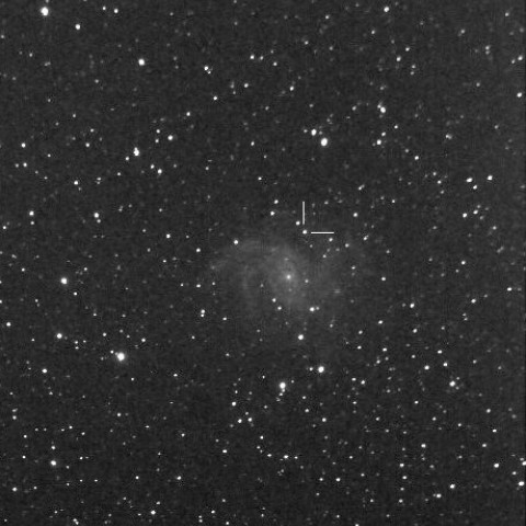 NGC6946の超新星