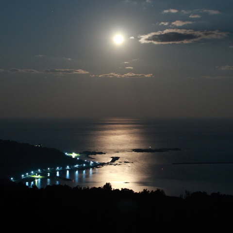 月下の湾