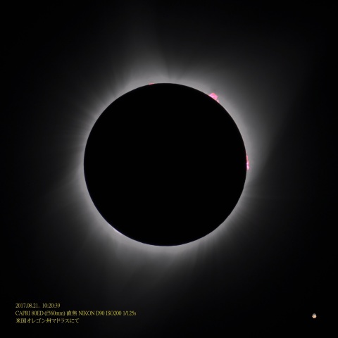 内部コロナとプロミネンス