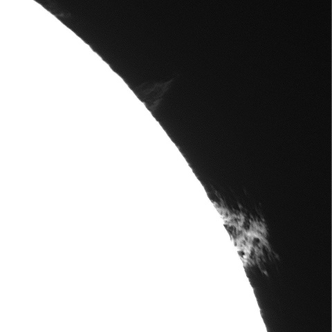 6/17の太陽(プロミネンス)