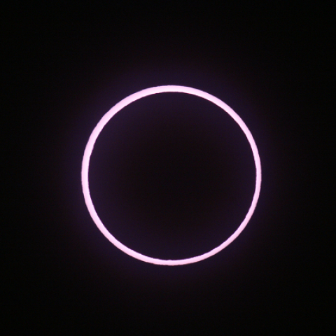 食の最大 埼玉県朝霞市