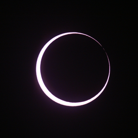 ベイリービーズ