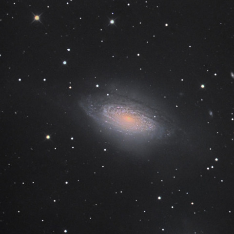 NGC3521