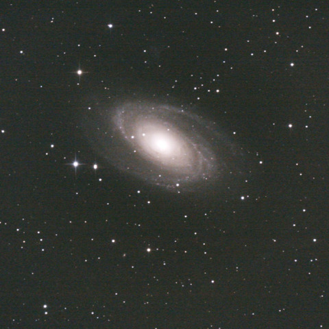 M81