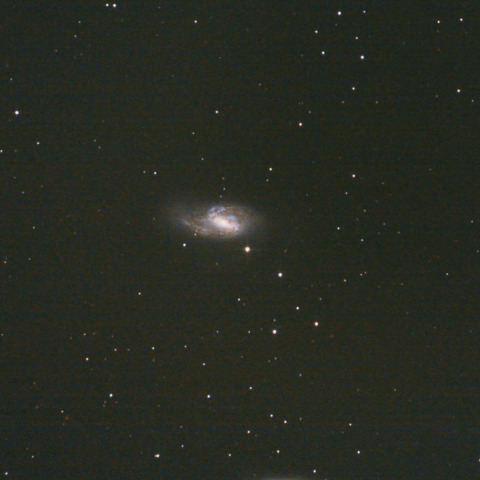 M66