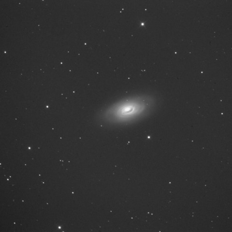M64