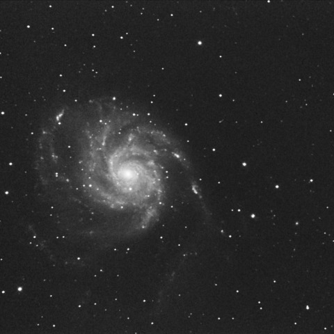 M101