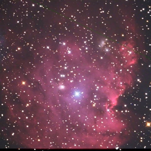 NGC2175