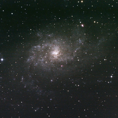 M33