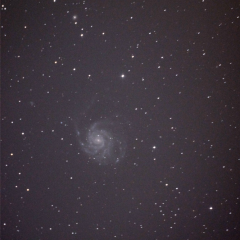 M101