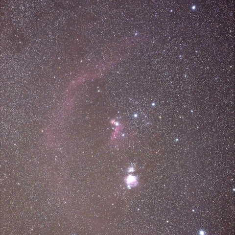 バーナードループ