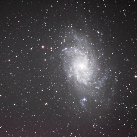 M33