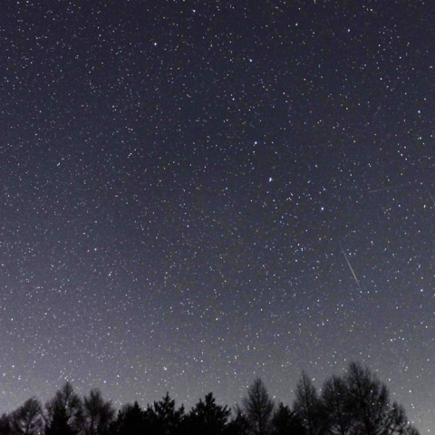ふたご座流星群