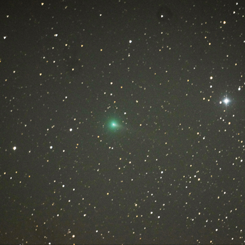 C/2019Y1アトラス彗星