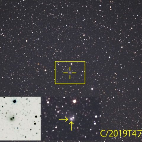 C/2019T4 ATLAS彗星