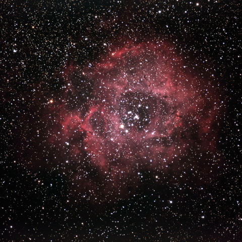 バラ星雲　NGC2237 