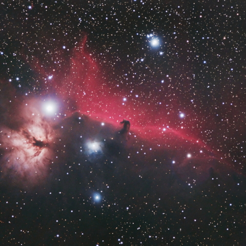 オリオン座　馬頭星雲