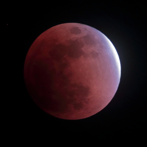 皆既月食 ターコイズフリンジ