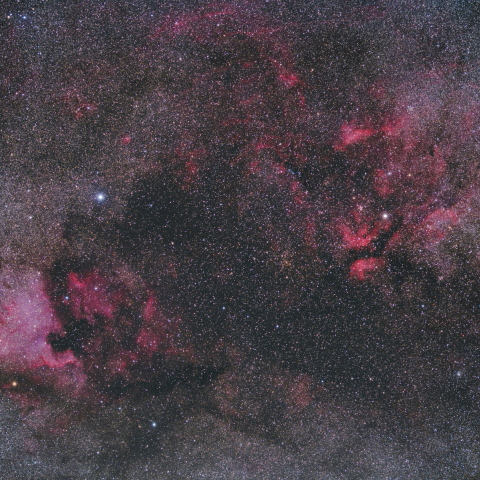 はくちょう座　デネブ付近の散光星雲