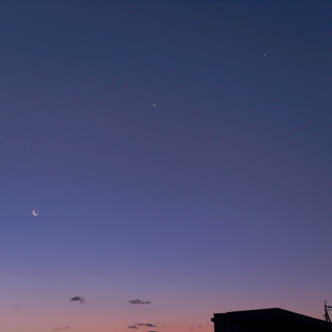 朝焼けの空に並ぶ
