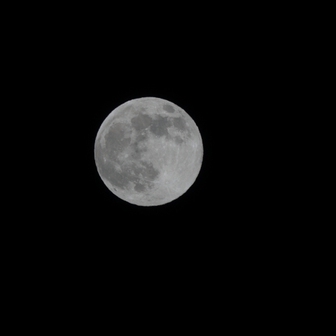 スーパームーン　2019/2/19