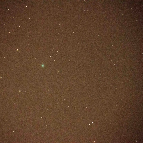 本田・ムルコス・パイドゥシャーコヴァー彗星