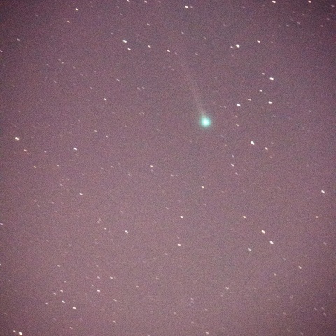 本田・ムルコス・パイドゥシャーコヴァー彗星