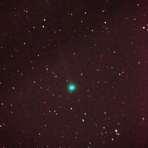 4月3日のラヴジョイ彗星（C/2017 E4）