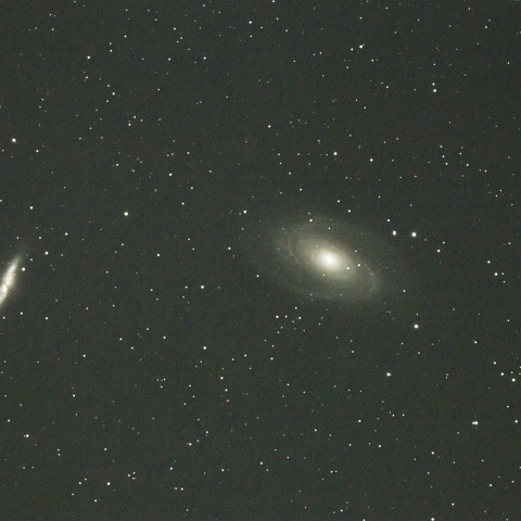 ボーデの銀河（M81とM82）おおぐま座　 2026/02/19