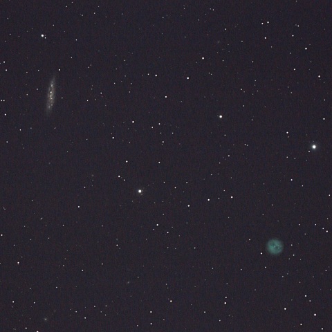 おおぐま座 ふくろう星雲(M97)とM108銀河 2026/02/19