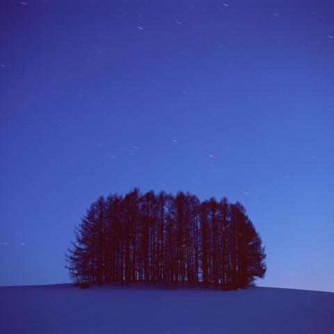 星が少し流れて・・・