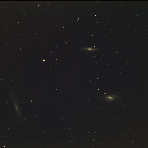 しし座のトリオ銀河M65, M66 & NGC3628