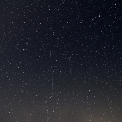 2010年ふたご座流星群