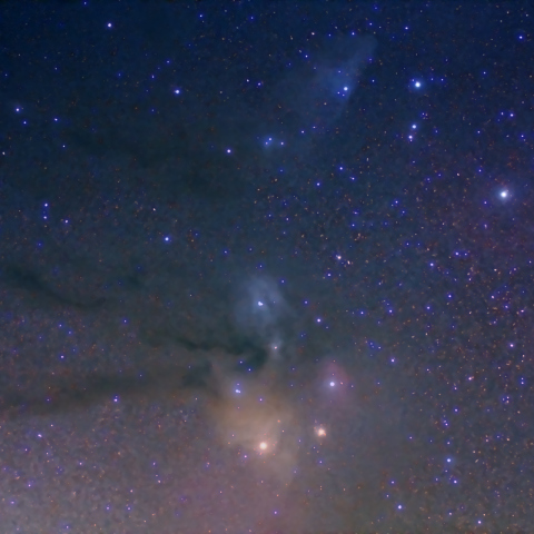 アンタレス周辺～さそり頭部