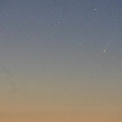 11月23日のアイソン彗星