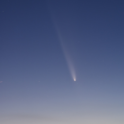 紫金山・アトラス彗星
