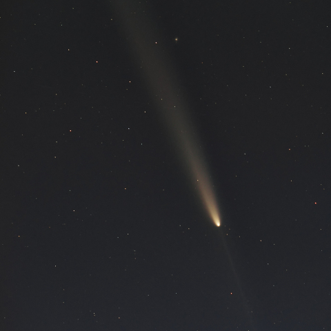 紫金山・アトラス彗星