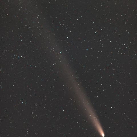 紫金山・アトラス彗星