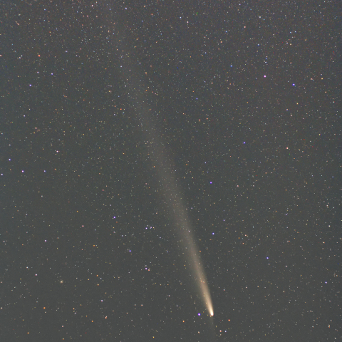 紫金山・アトラス彗星