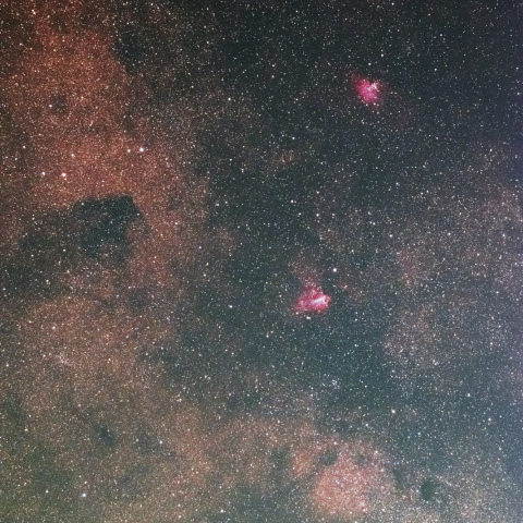 M16、M17、バンビの横顔