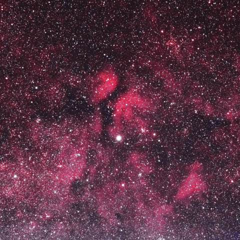 白鳥座サドル付近